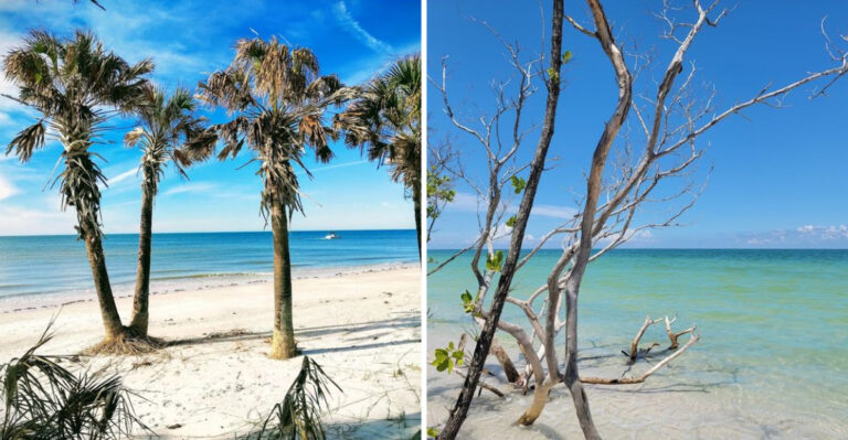 This Florida Beach Looks Straight Out Of The Caribbean Yet Stays Under The Radar