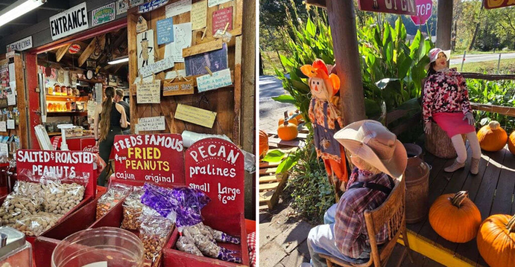 This Georgia Roadside Peanut Stand Makes Boiled Peanuts Worth Pulling Over For