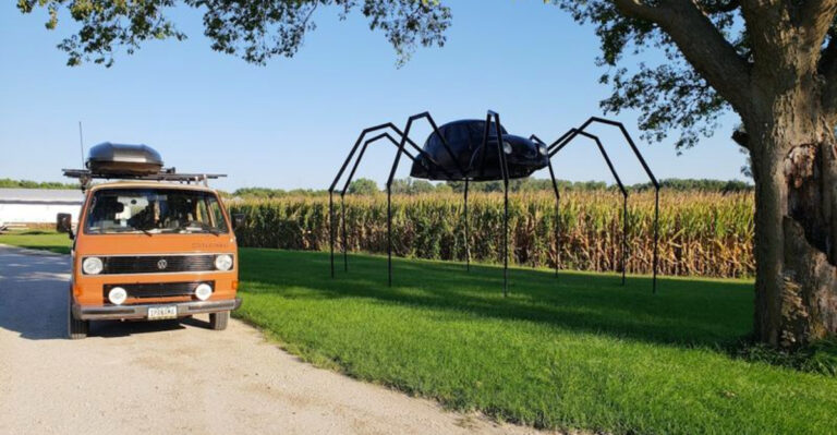 This Giant Beetle Spider In Iowa Might Be The Weirdest Thing You See All Week