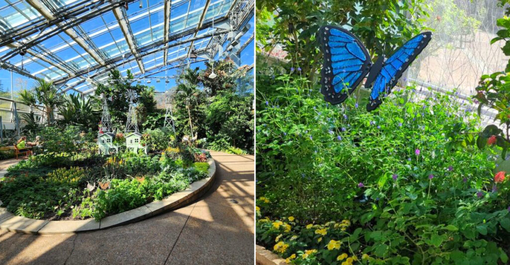This Indoor Iowa Garden Lets You Wander Through A Stunning World Of Butterflies
