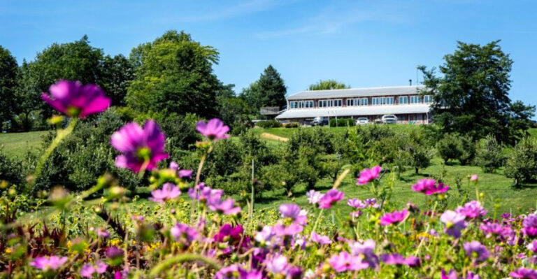 This Iowa Farm Market Is A Fresh Summer Stop Worth Planning Around