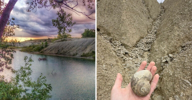 This Iowa Fossil Park Still Holds Clues From 365 Million Years Ago