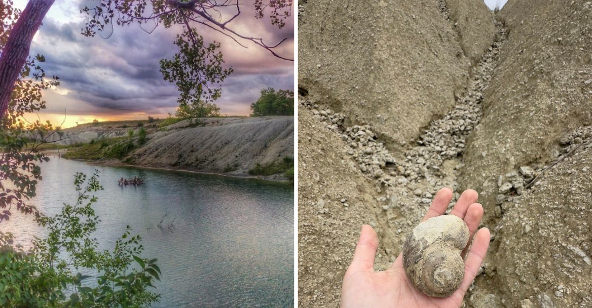 This Iowa Fossil Park Still Holds Clues From 365 Million Years Ago