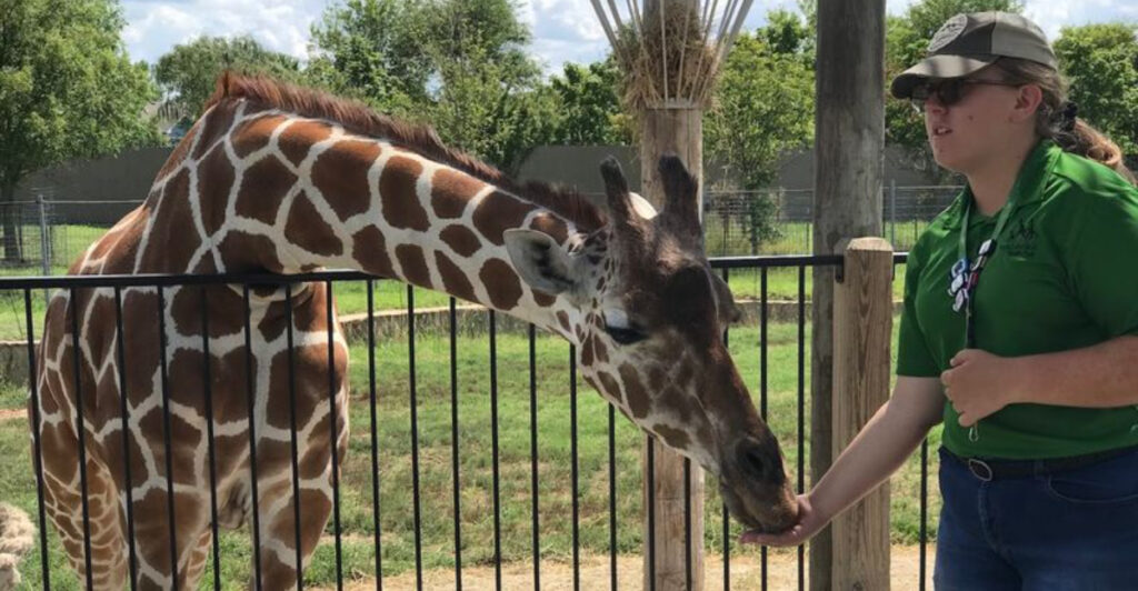 This Kansas Animal Adventure Turns A Simple Visit Into Giraffe Feeding And Lemur Encounters