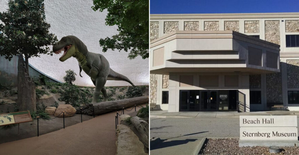 This Kansas Museum Is An Overlooked Treasure For Anyone Who Loves Natural History