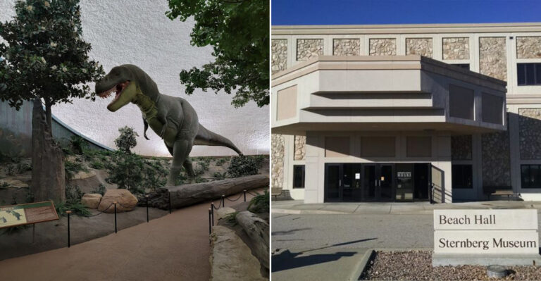 This Kansas Museum Is An Overlooked Treasure For Anyone Who Loves Natural History