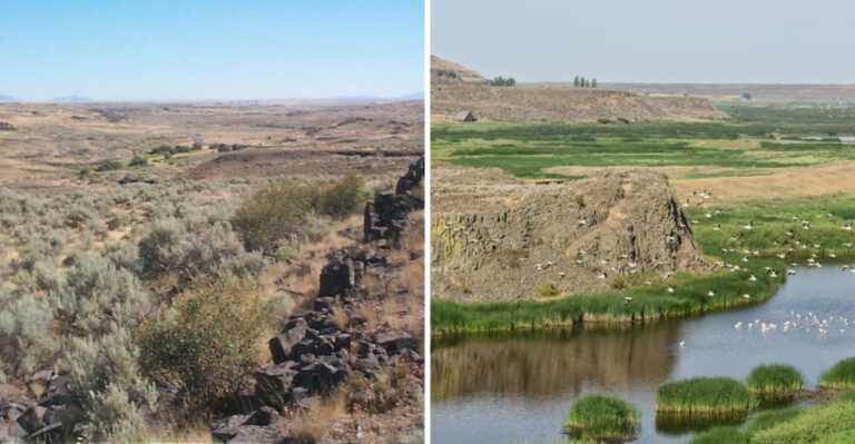 This Little-Known Washington Canyon Escape Could Be Mistaken For Another World