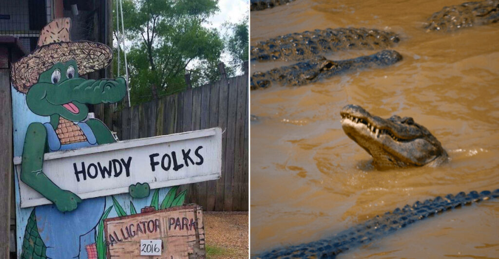 Gator Country Louisiana