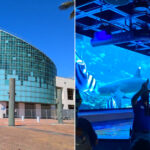 Audubon Aquarium