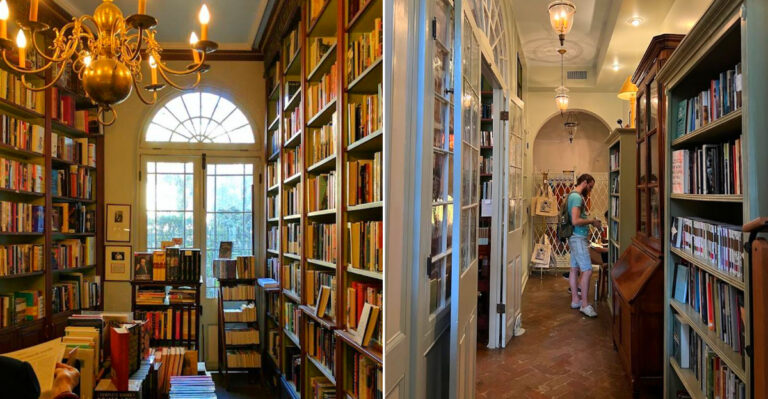 This Louisiana Bookstore Has Been Open Since The 1940s And Still Welcomes Cats On The Shelves