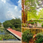 The New Orleans Botanical Garden