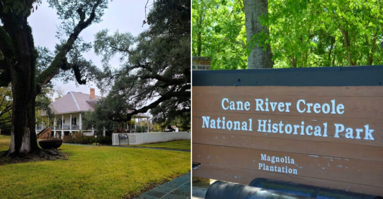 This Louisiana Fossil Site Reveals A Rare Glimpse Of The State’s Ancient Seafloor