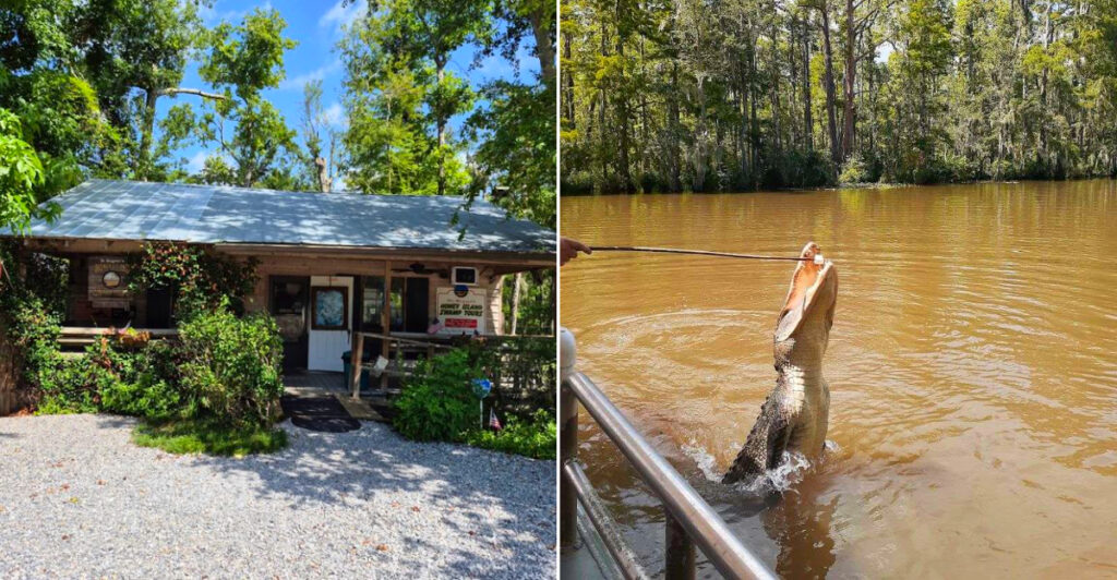 Dr. Wagner’s Honey Island Swamp Tours
