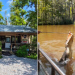 Dr. Wagner’s Honey Island Swamp Tours
