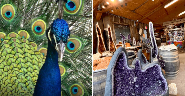 This North Carolina Spot Turns A Family Day Into An Adventure Filled With Gems, Fossils, And Geodes