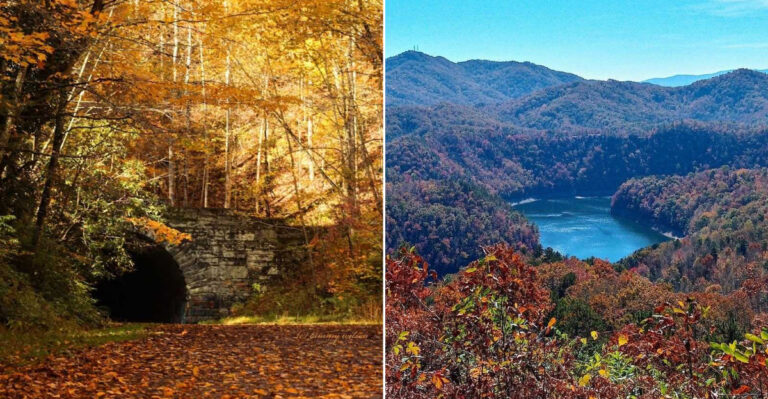 This North Carolina Tunnel Has History, Mystery, And A Story Worth Exploring