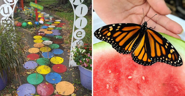 This Playful Ohio Garden Is Packed With Creative Spaces Designed For Curious Kids