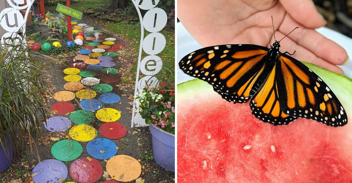 This Playful Ohio Garden Is Packed With Creative Spaces Designed For Curious Kids