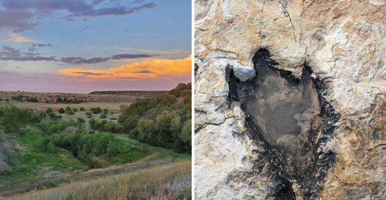 This Prehistoric New Mexico Trail Lets You Walk In The Footsteps Of Actual Dinosaurs