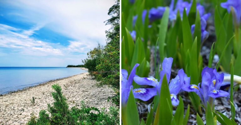 This Scenic Michigan State Park Is A Quiet Escape Many Locals Still Overlook