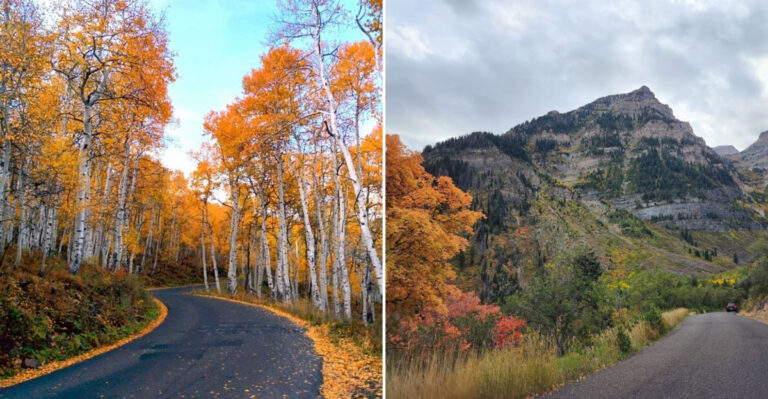 This Scenic Utah Mountain Drive Leads To Waterfalls, Caves, And Unforgettable Views