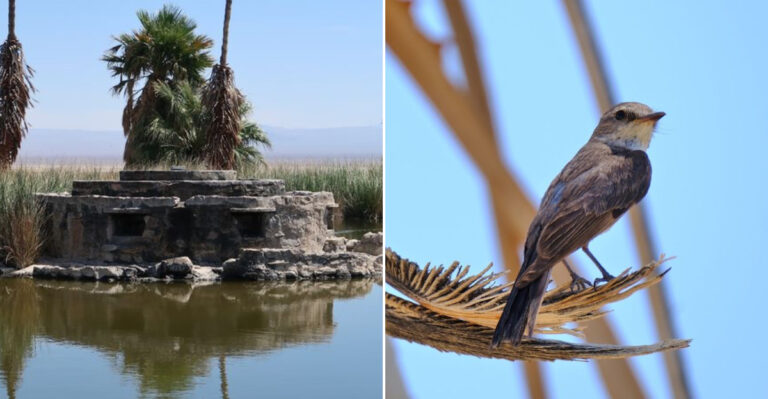 This Secluded California Oasis Could Easily Pass For Another Planet