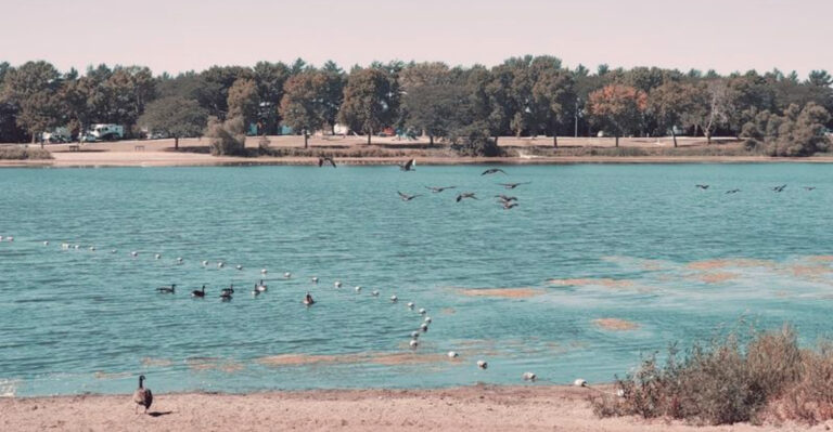 This Small Iowa Lake Park Is A Laid-Back Summer Escape With Camping And Kayak Rentals