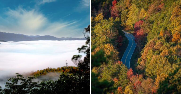 This Tennessee Mountain Overlook Is Where Locals Go When They Need Some Quiet