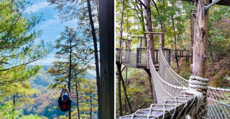This Tennessee Zipline Turns The Smoky Mountain Canopy Into A High-Speed Flight