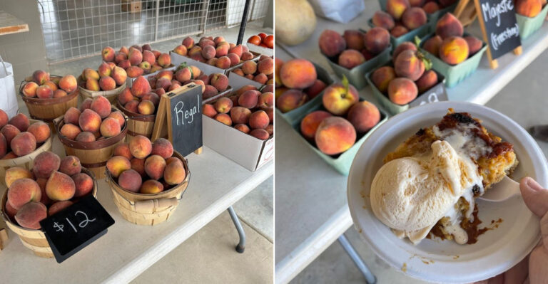 This Texas Peach Stand Is The Kind Of Summer Detour People Wait For