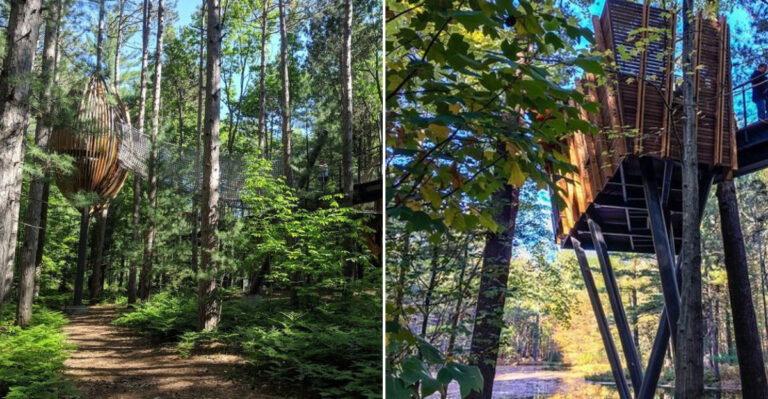 This Treetop Canopy Walk In Michigan Is The Ideal Summer Activity