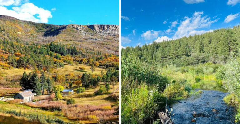 This Underrated New Mexico Road Trip Has Stunning Views And Belongs On Your Bucket List