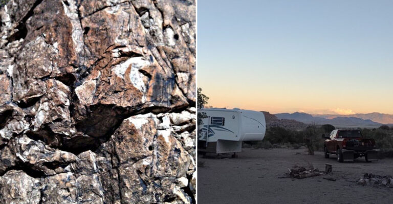 This Utah Park Offers A Rare Chance To Hunt For Fossils From 450 Million Years Ago
