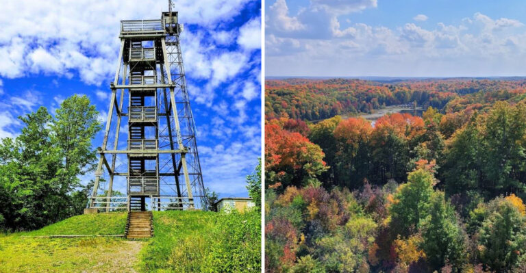 This Wisconsin Observation Tower Delivers Sweeping Views After The Climb