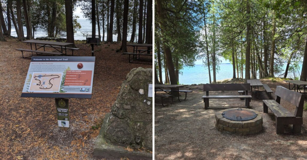 This Wisconsin Park Turns A Day Outside Into A Fossil Hunt