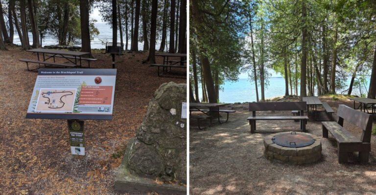 This Wisconsin Park Turns A Day Outside Into A Fossil Hunt
