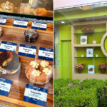 Louisiana’s Best Cinnamon Rolls
