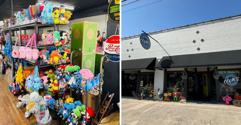 You’ll Be Surprised How Far A Little Money Goes At This North Carolina Discount Store