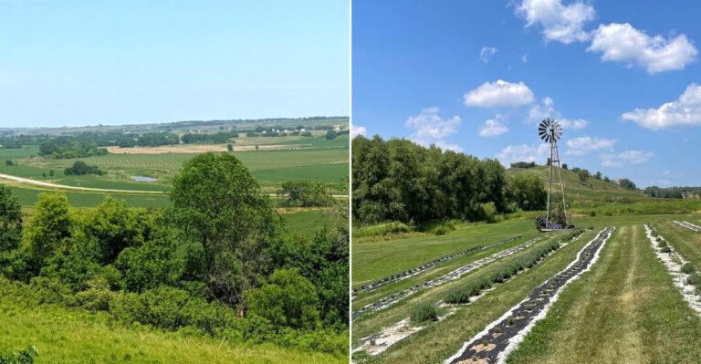 This Scenic Drive Through Iowa’s Loess Hills Is Worth Every Mile