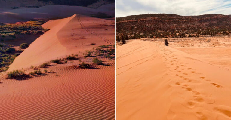 Rent A Board And Surf Down Coral-Pink Sand Dunes In Southern Utah