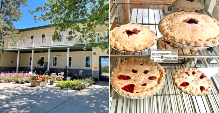This Cash-Only Iowa Amish Bakery Is a Full-On Paradise With Something For Every Sweet Tooth
