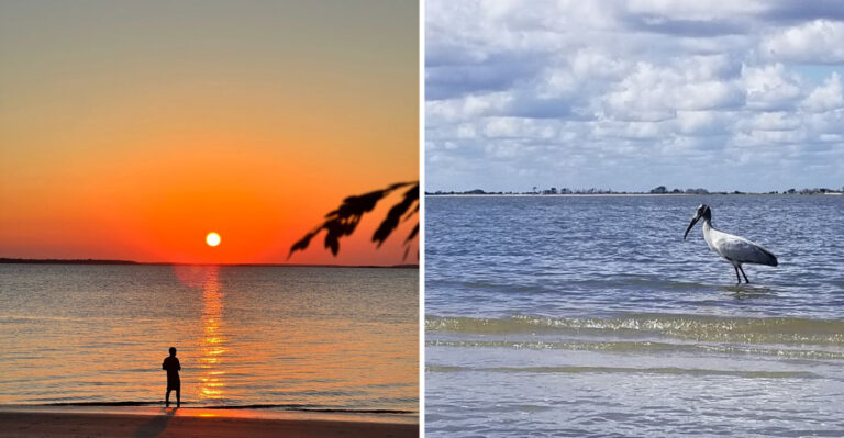 This Peaceful Georgia Beach Rewards Early Walks With Sand Dollars Along The Shore