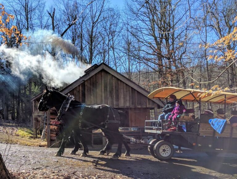 These Ohio Sugar Shacks Boil Down Maple Syrup You Can Taste Straight From the Tap
