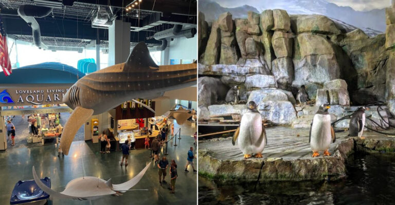 This Incredible Utah Aquarium Adventure Is Worth Adding To Your Bucket List