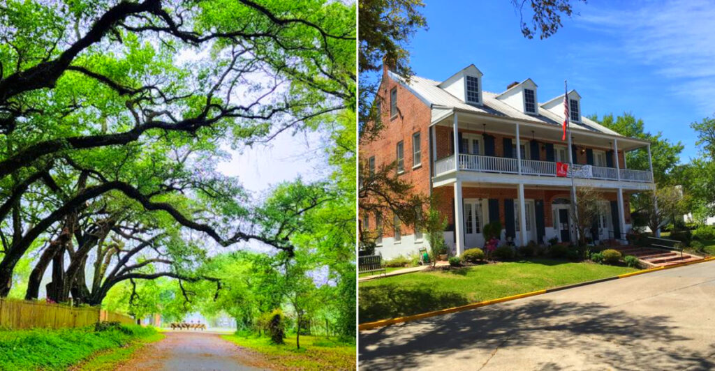 Quiet Louisiana Towns
