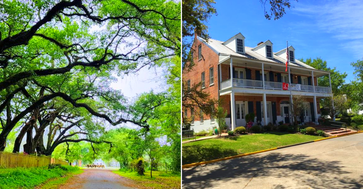 10 Quiet Louisiana Towns That Feel Straight Out Of A Southern Movie