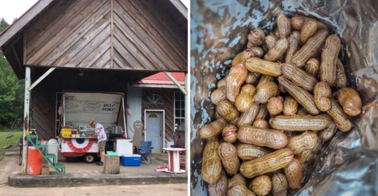 This Georgia Roadside Peanut Stand Has Been Serving Boiled Peanuts For Nearly Two Decades