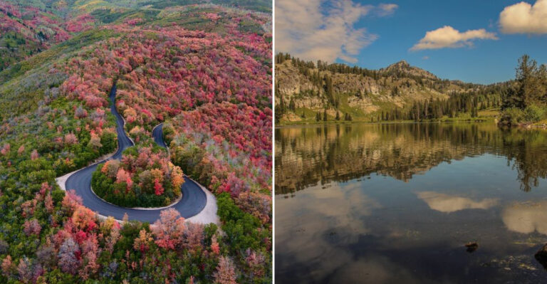 Utah’s Tick Map Reveals The Counties Around These 12 Wooded Getaways