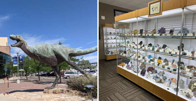 These Are The Best New Mexico Places To Find Fossils, Gemstones, Turquoise, And More