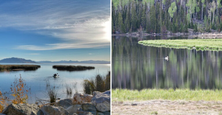Utah Campgrounds Where You Can Fish Just Steps From Your Campsite